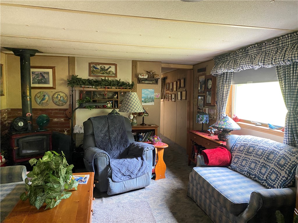 270 Morrell Road Worcester, NY 12197 - Photo 12 of 38 Living room with wood burning stove
