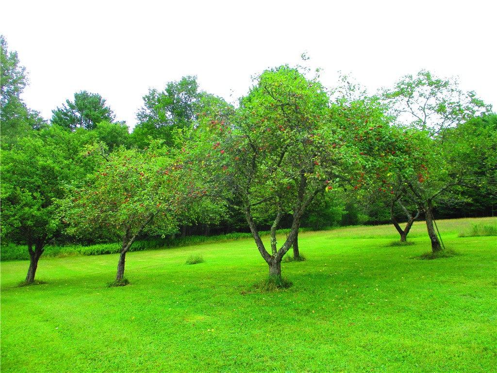 270 Morrell Road Worcester, NY 12197 - Photo 18 of 38