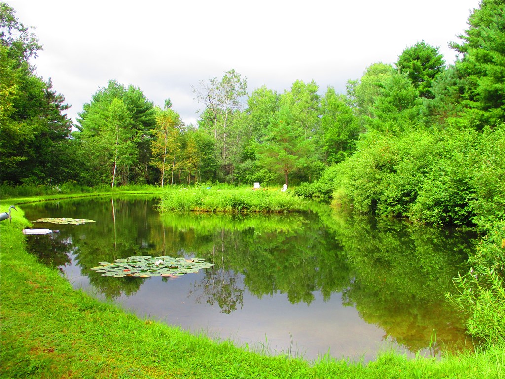 270 Morrell Road Worcester, NY 12197 - Photo 2 of 38 Pond with island
