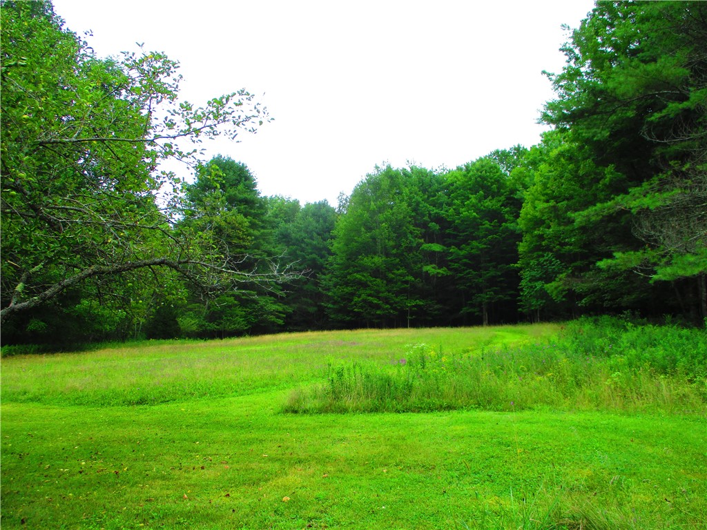 270 Morrell Road Worcester, NY 12197 - Photo 21 of 38