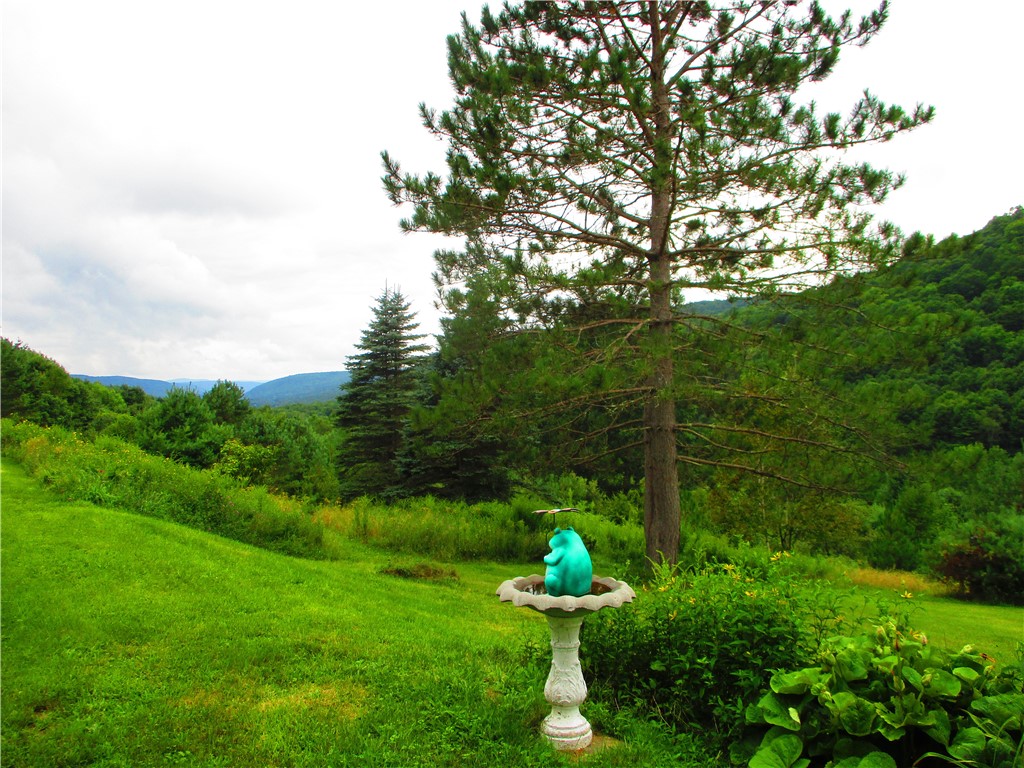 270 Morrell Road Worcester, NY 12197 - Photo 23 of 38