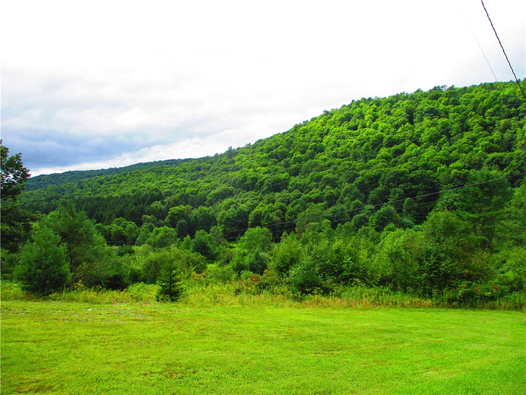 270 Morrell Road Worcester, NY 12197 - Photo 25 of 38