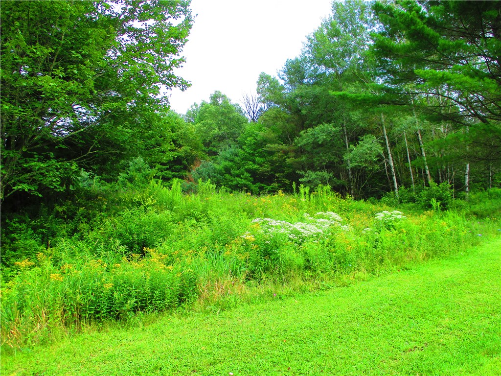 270 Morrell Road Worcester, NY 12197 - Photo 26 of 38