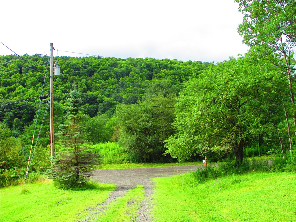 270 Morrell Road Worcester, NY 12197 - Photo 28 of 38