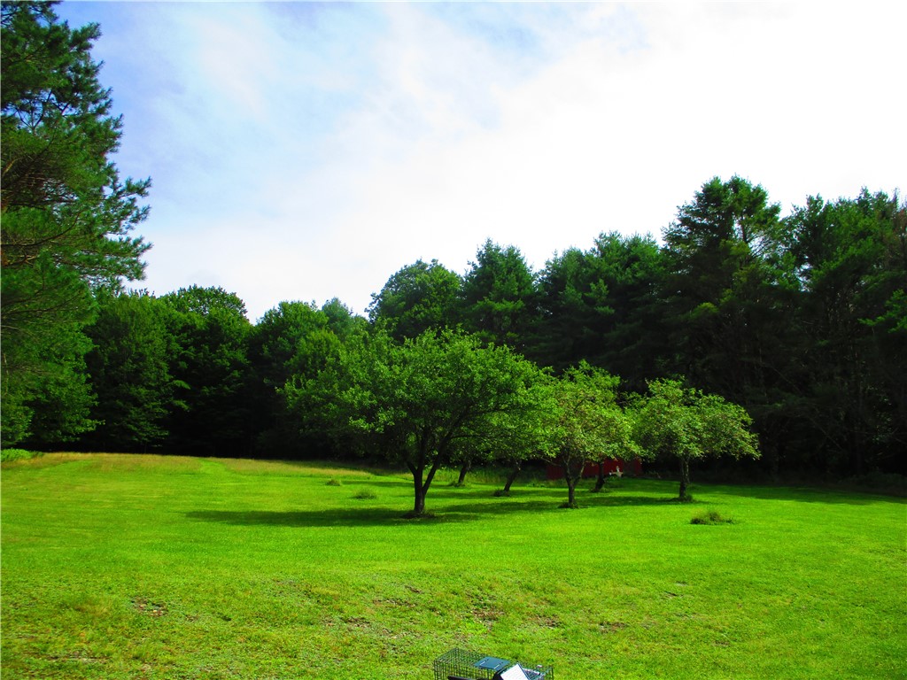 270 Morrell Road Worcester, NY 12197 - Photo 29 of 38