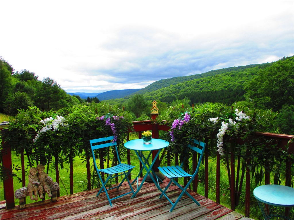 270 Morrell Road Worcester, NY 12197 - Photo 3 of 38 View from front porch
