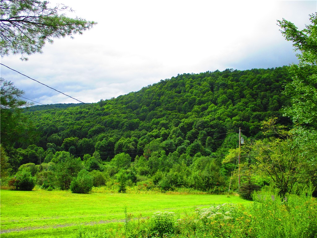 270 Morrell Road Worcester, NY 12197 - Photo 31 of 38