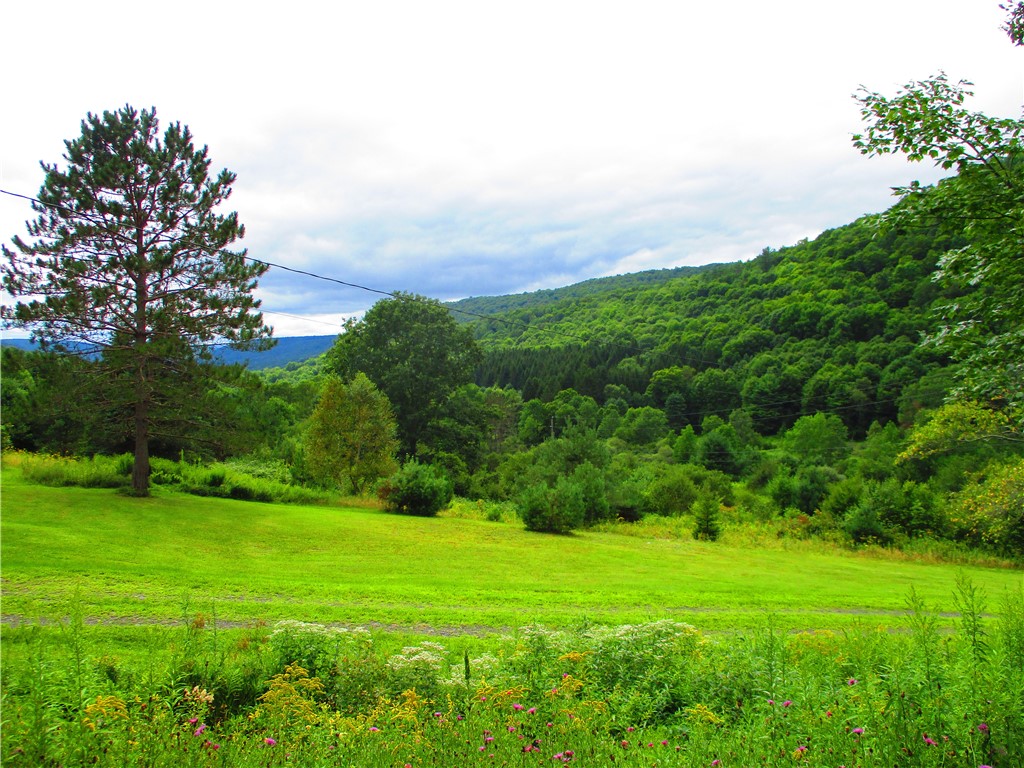 270 Morrell Road Worcester, NY 12197 - Photo 32 of 38