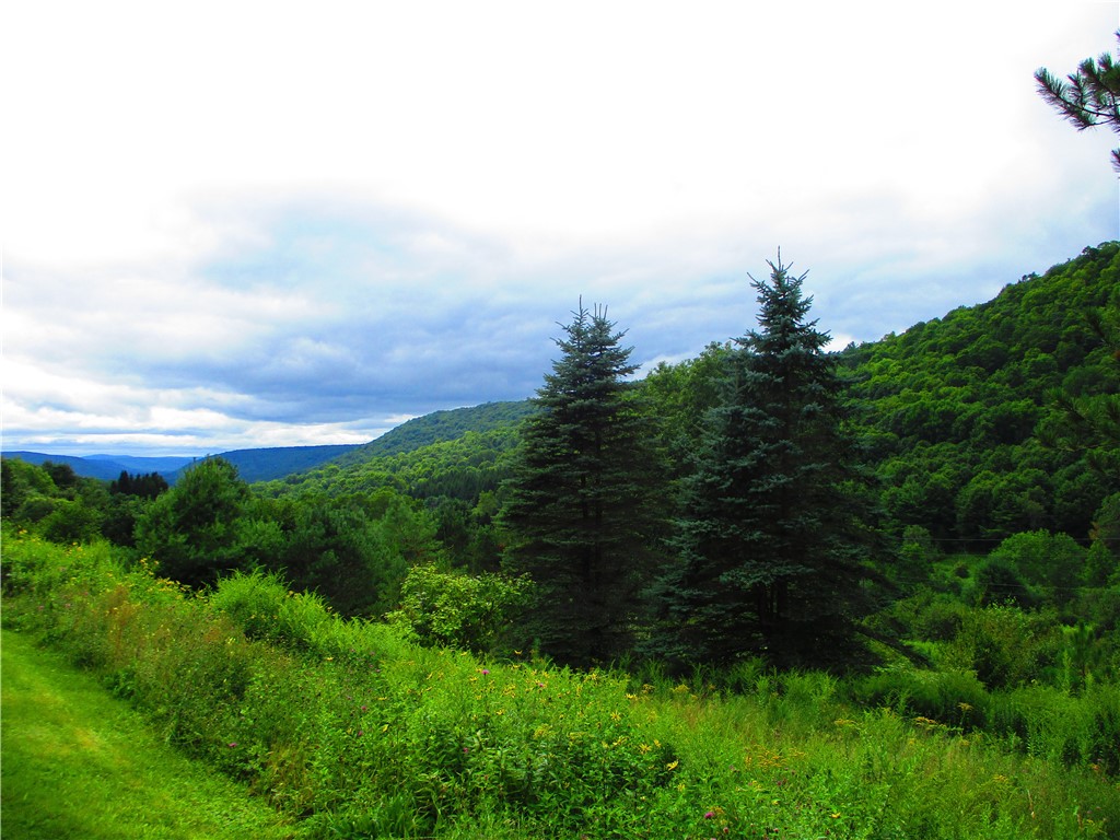 270 Morrell Road Worcester, NY 12197 - Photo 33 of 38