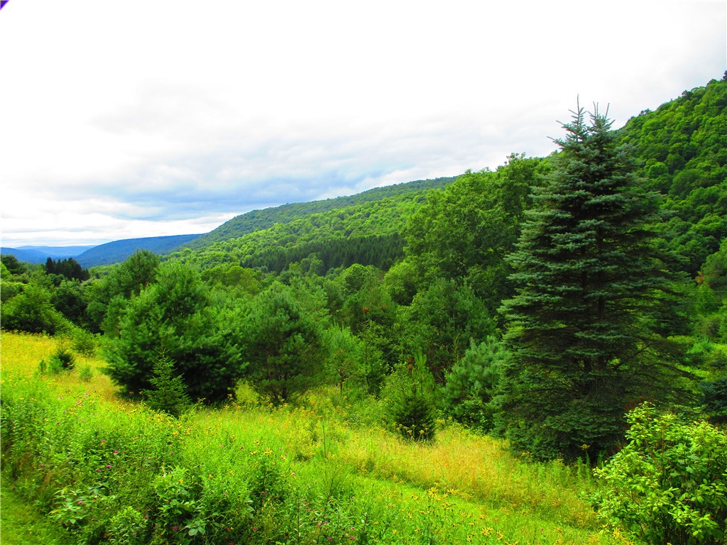 270 Morrell Road Worcester, NY 12197 - Photo 34 of 38