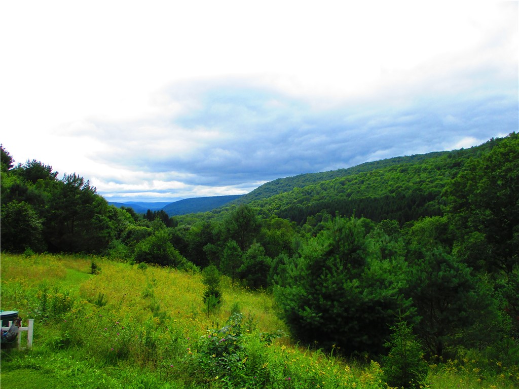 270 Morrell Road Worcester, NY 12197 - Photo 35 of 38