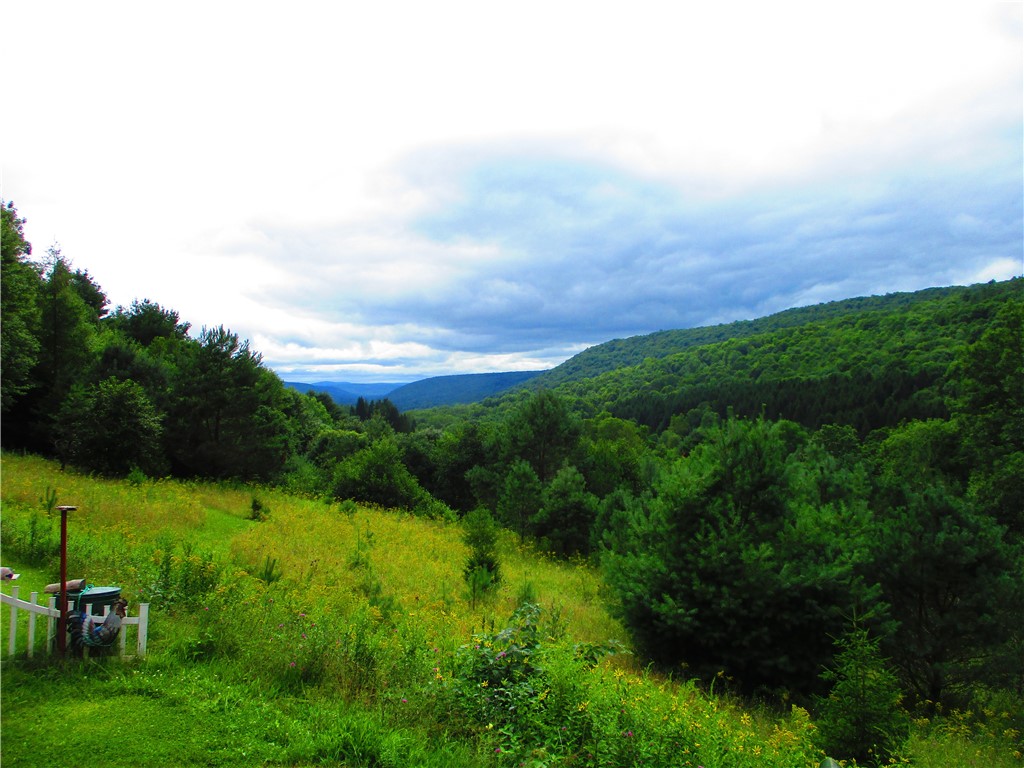 270 Morrell Road Worcester, NY 12197 - Photo 36 of 38