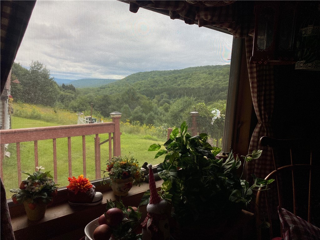 270 Morrell Road Worcester, NY 12197 - Photo 6 of 38 View from kitchen window
