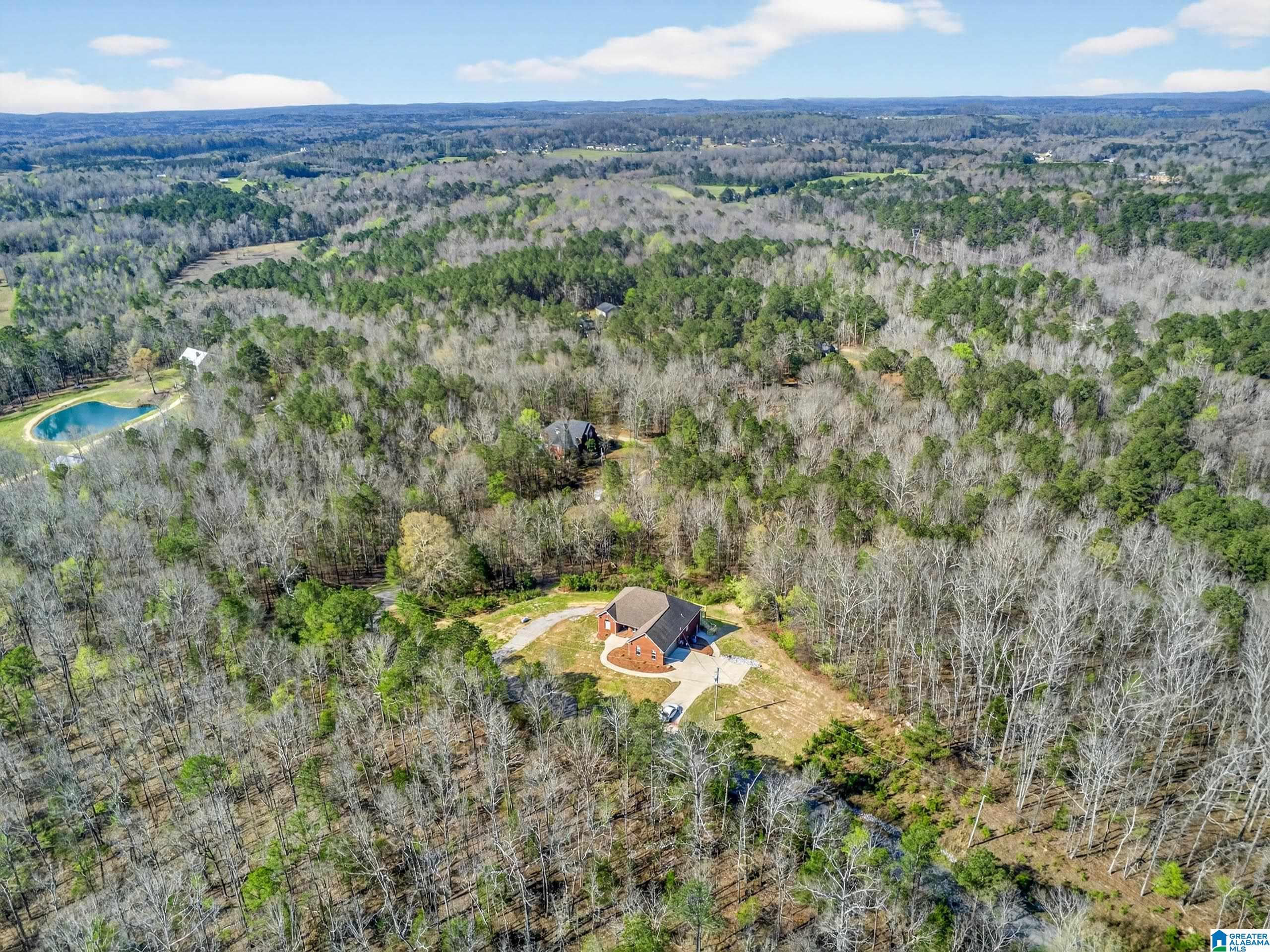 272 Trinity Way Jacksonville, AL 36265 - Photo 44 of 45