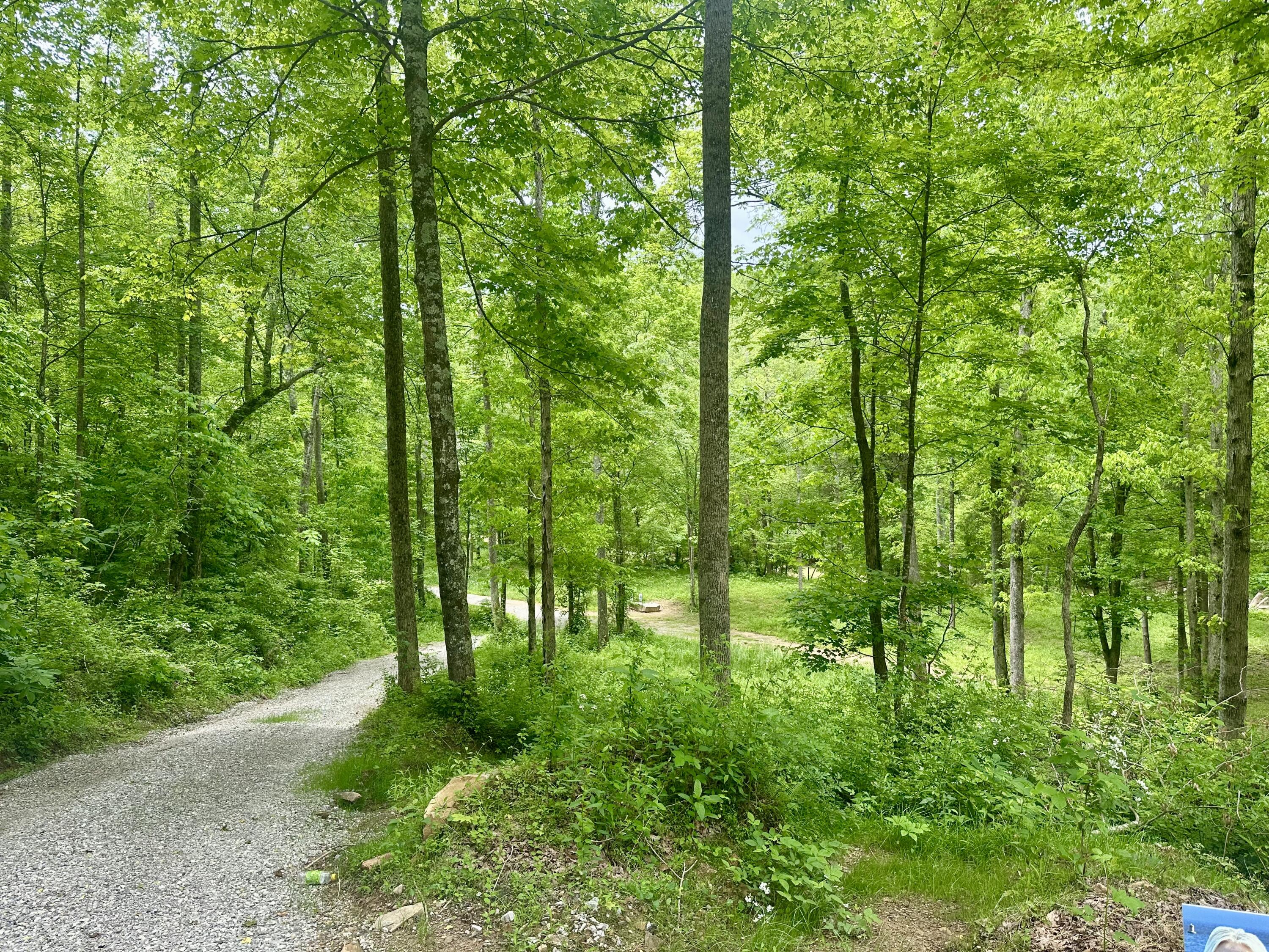 1815 Baldwin Road McKee, KY 40447 - Photo 41 of 68 IMG_0416