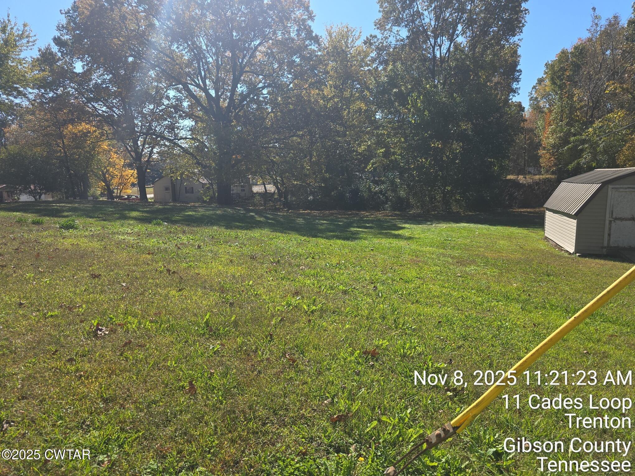 11 Cades Loop Trenton, TN 38382 - Photo 4 of 16 a view of a field with grass and trees