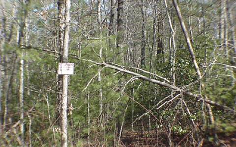 1 Cook Henry Road Morganton, GA 30560 - Photo 1 of 1 Main View