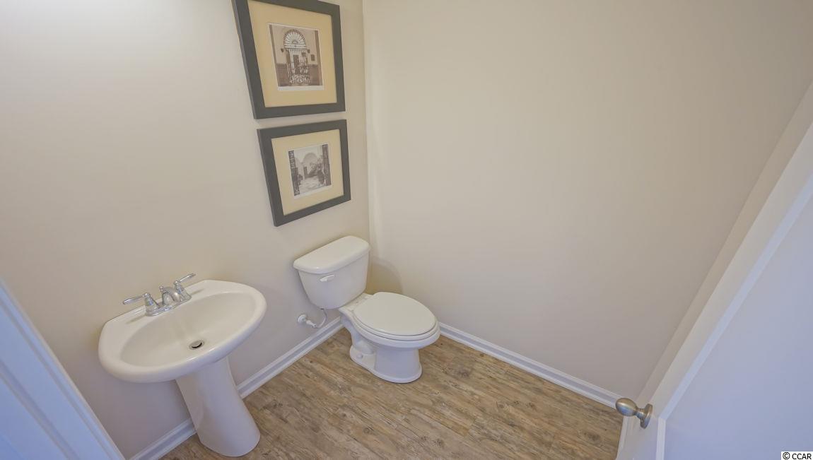 256 Harvest Ridge Way Conway, SC 29527 - Photo 8 of 29 Gallery Image 8