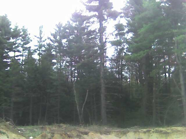 20 Locust Ridge Drive Greenfield, NY 12833 - Photo 4 of 6 Photo 4
