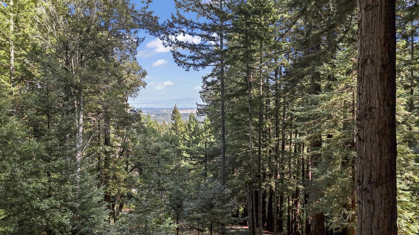 320 Grandview Drive Woodside, CA 94062 - Photo 41 of 43 a view of a city with lush green forest