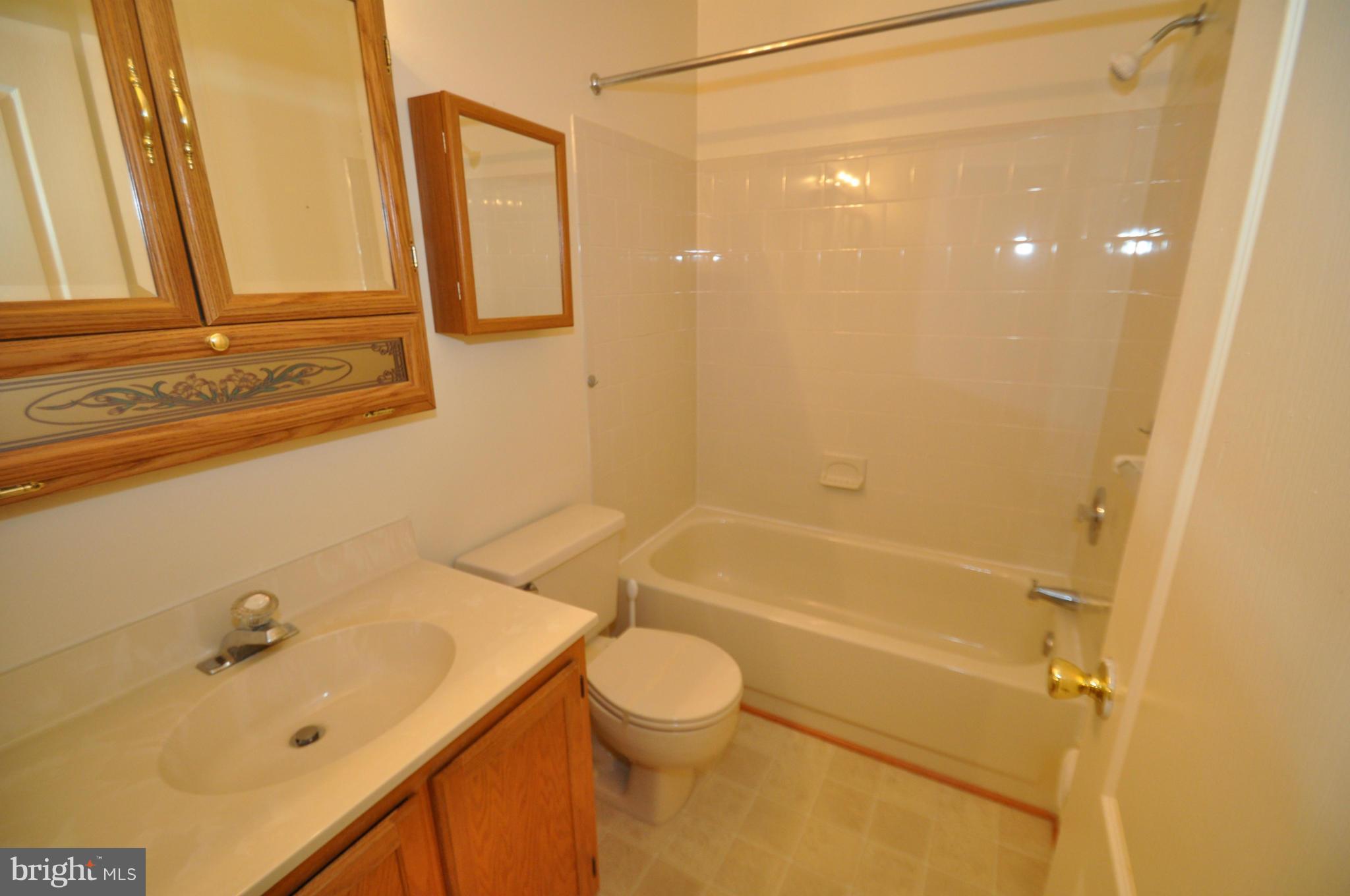 1109 Oak View Drive Mount Airy, MD 21771 - Photo 14 of 18 a bathroom with a sink a toilet and shower