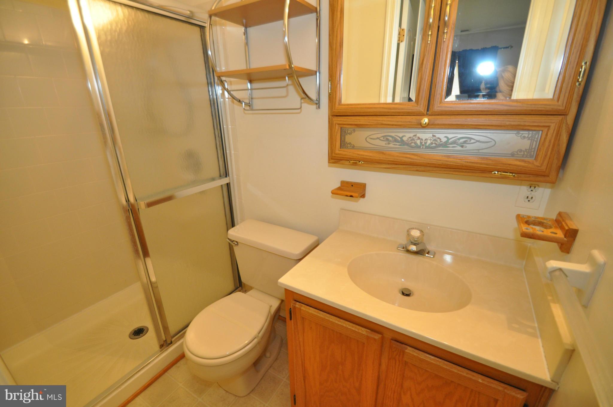 1109 Oak View Drive Mount Airy, MD 21771 - Photo 10 of 18 a bathroom with a sink and a mirror