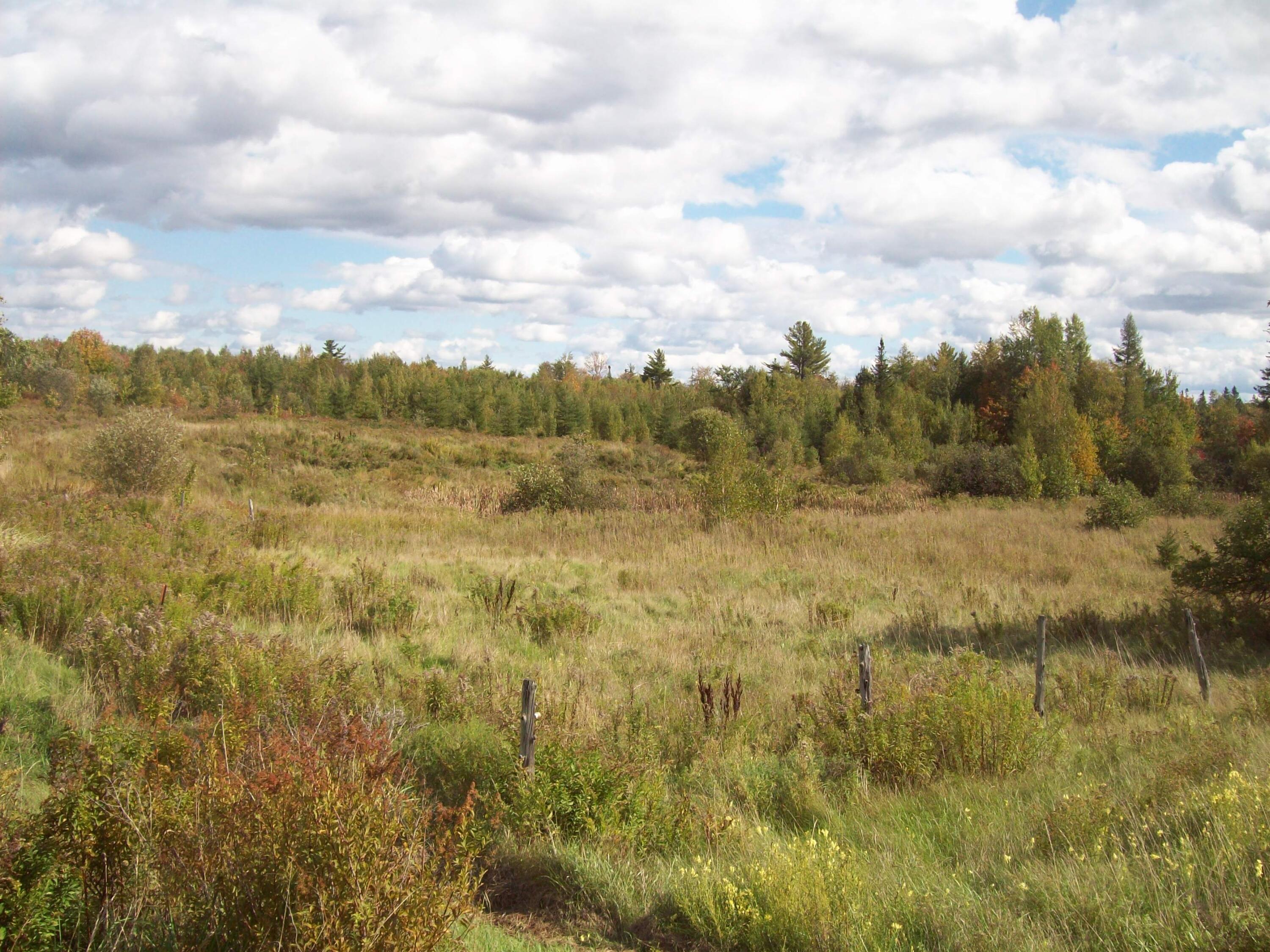 278 South Road Topsfield, ME 04490 - Photo 7 of 24 100_2343