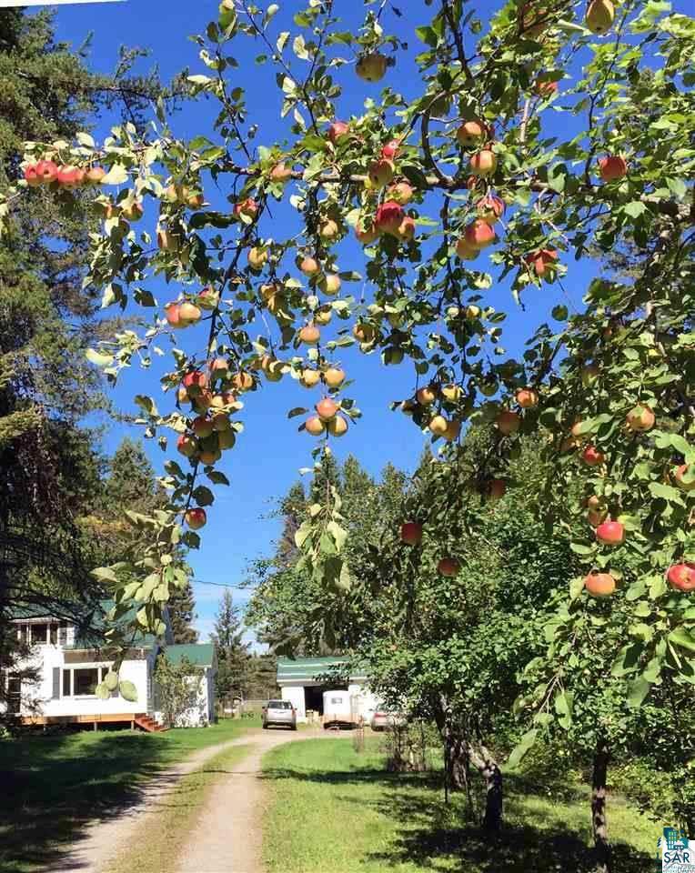 1343 Two Harbors Road Two Harbors, MN 55616 - Photo 12 of 17
