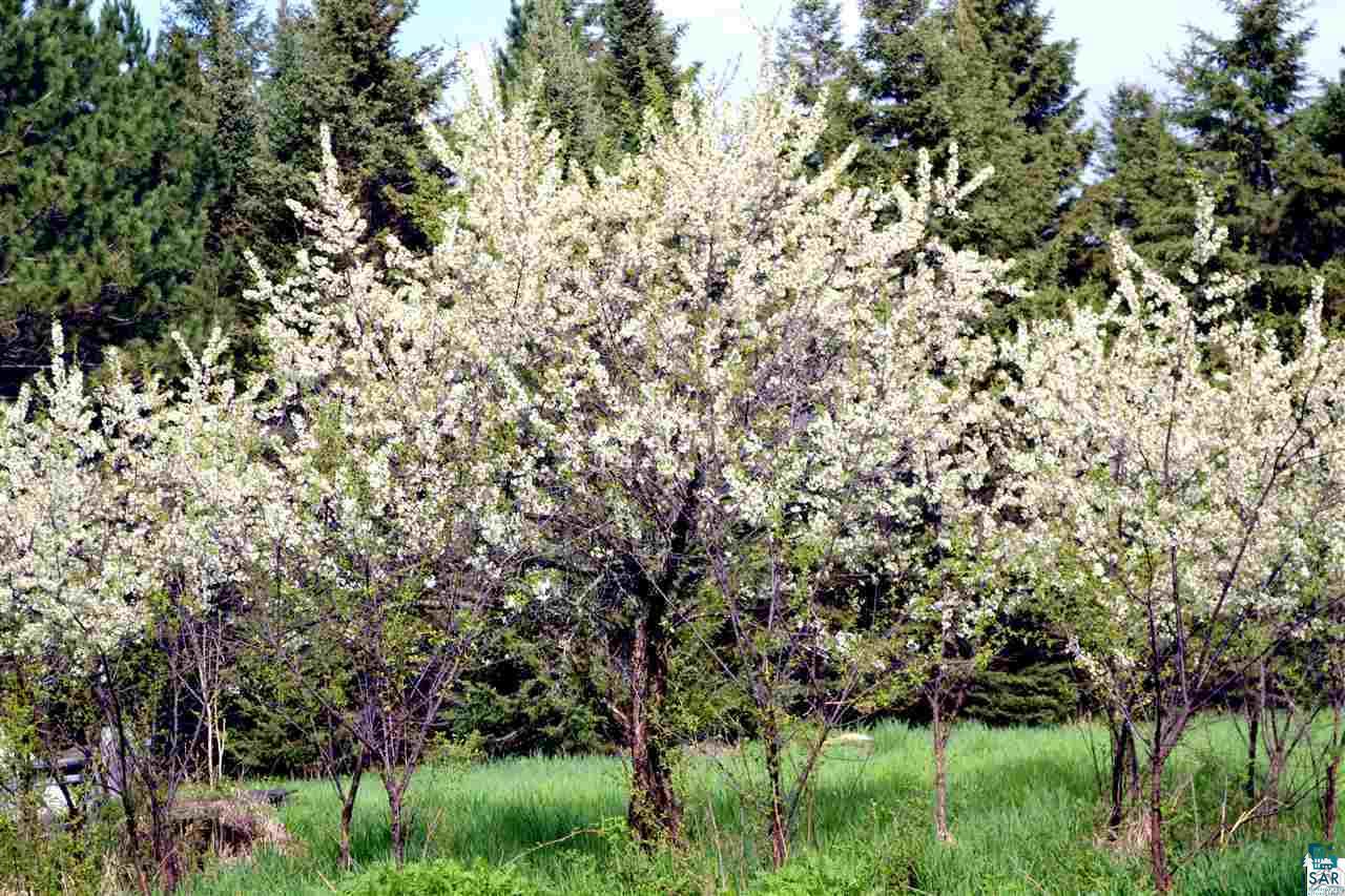 1343 Two Harbors Road Two Harbors, MN 55616 - Photo 14 of 17