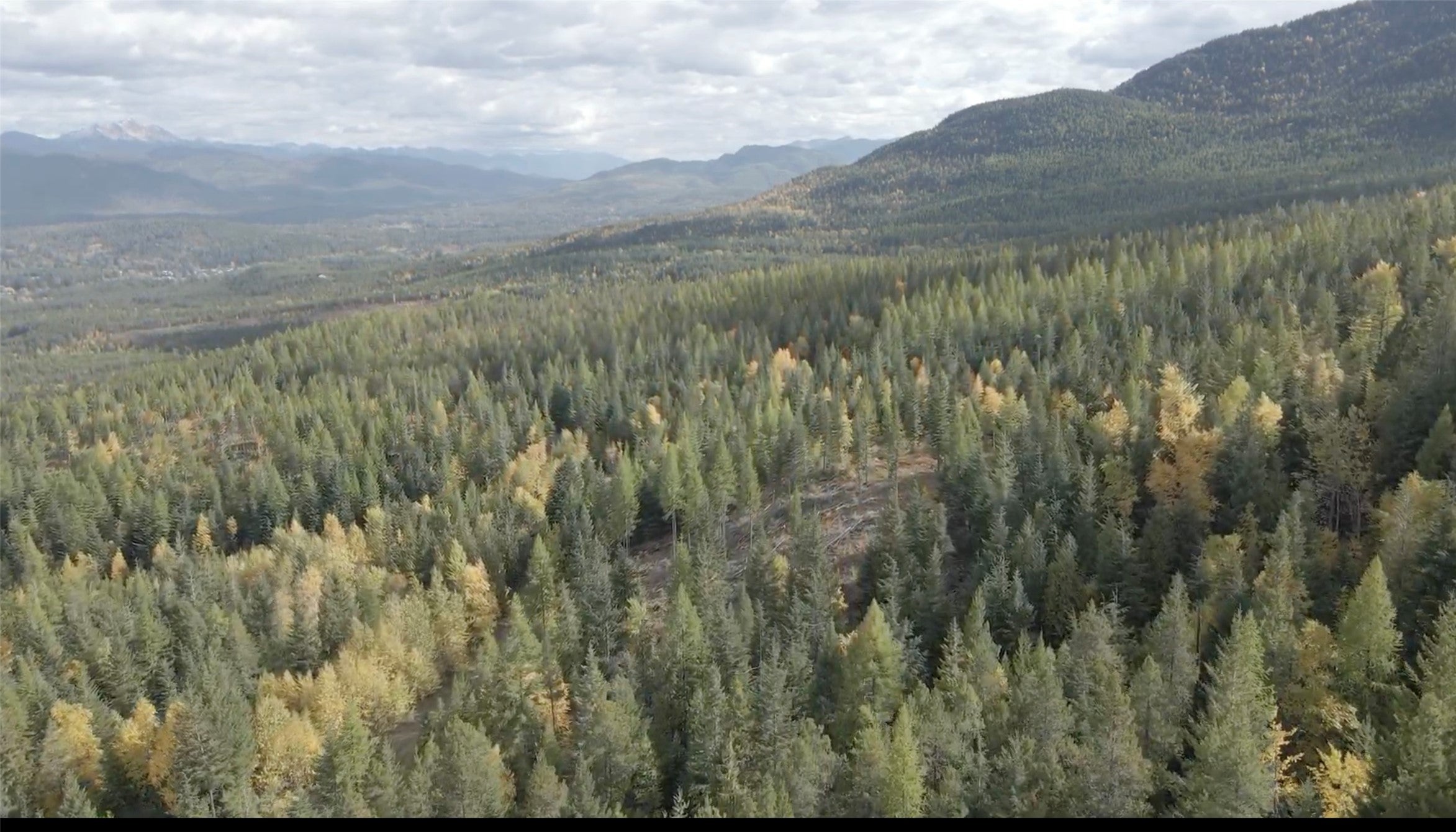 105 Highland Meadows Road Whitefish, MT 59937 - Photo 8 of 17 Gallery Image 8