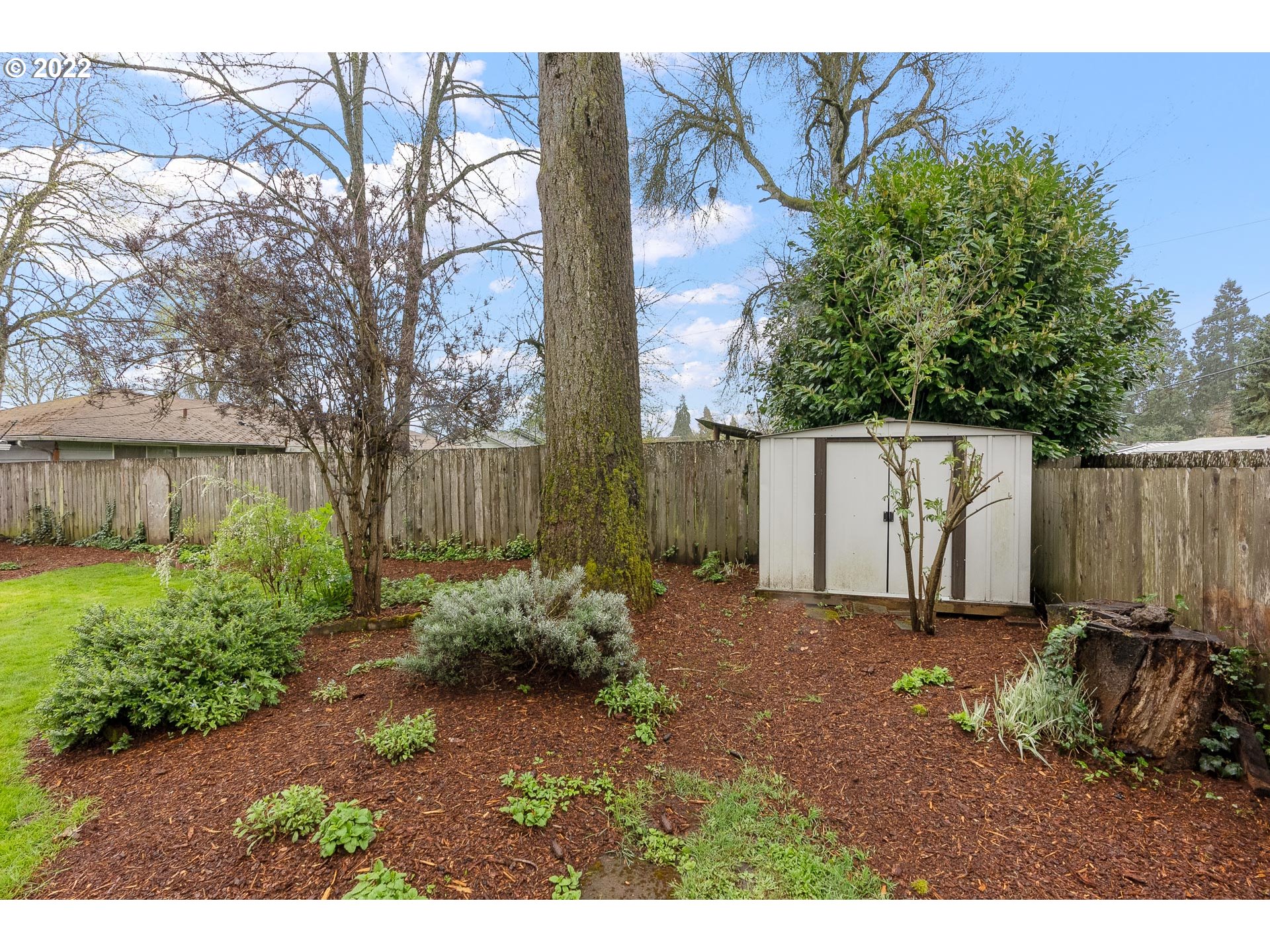 2900 Manor Drive Springfield, OR 97477 - Photo 31 of 32 a backyard of a house with lots of green space