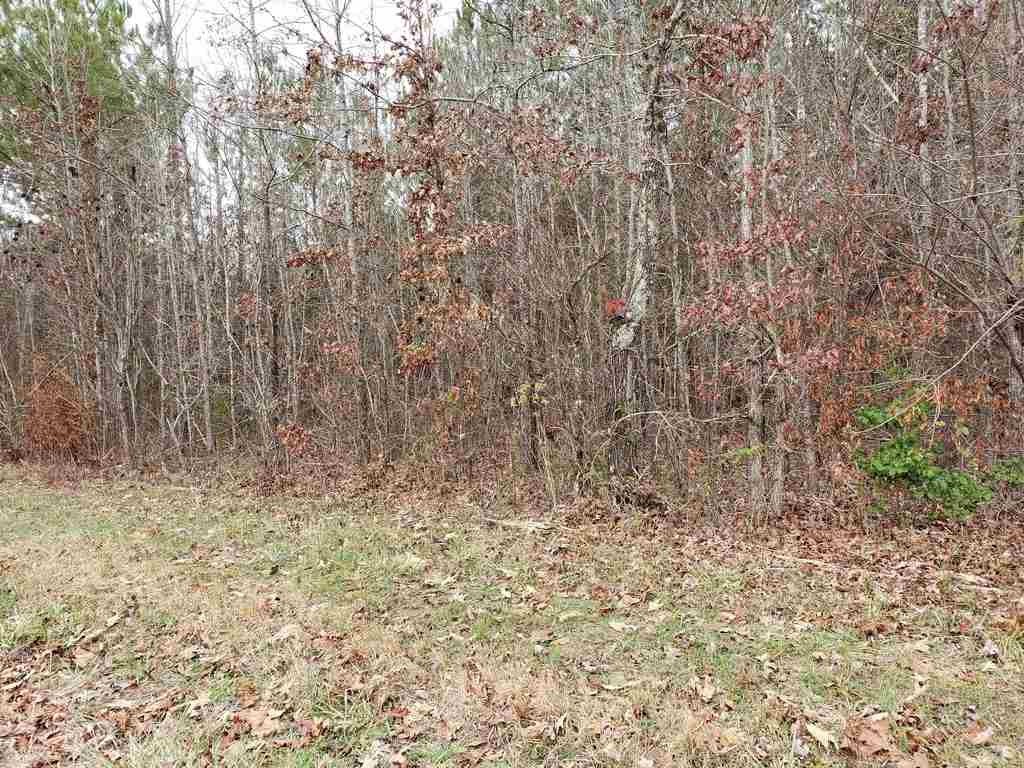 0 County Road 187 Decatur, TN 37322 - Photo 31 of 35 Gallery Image 31