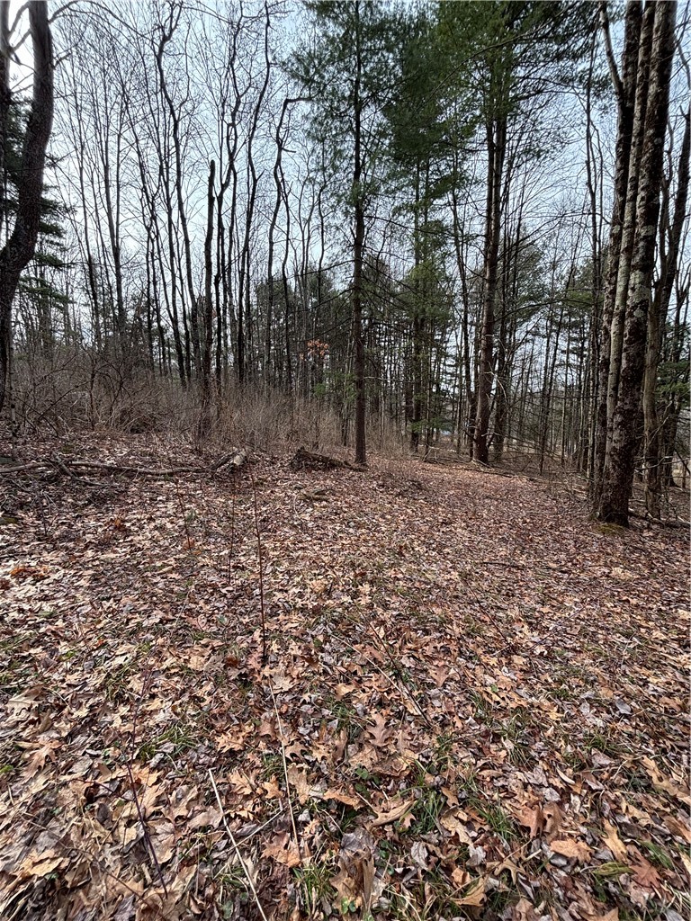 370 Ellis Creek Road Barton, NY 14892 - Photo 14 of 24