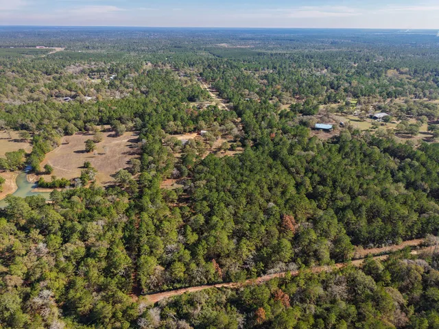 $810,000 | 6623 County Road 302, Navasota, TX 77868