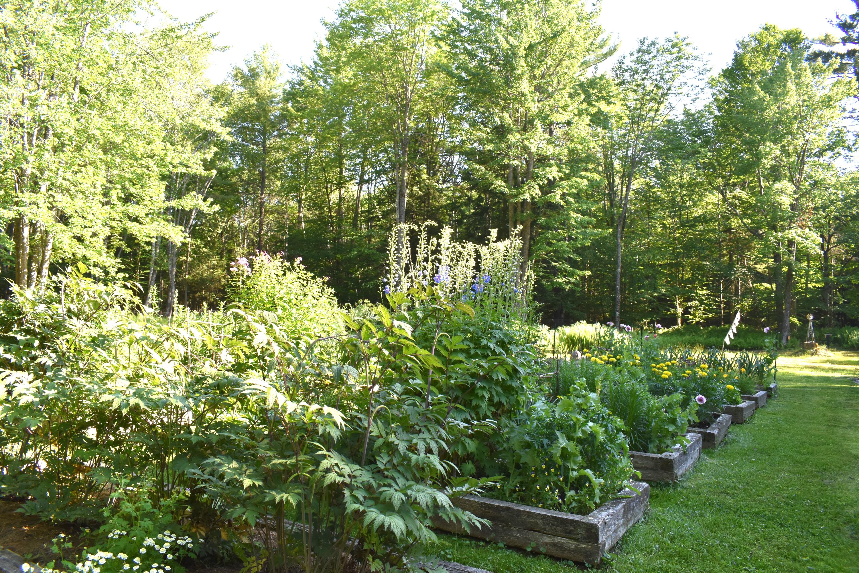 173 Denbow Road St. Albans, ME 04971 - Photo 81 of 83 garden 2