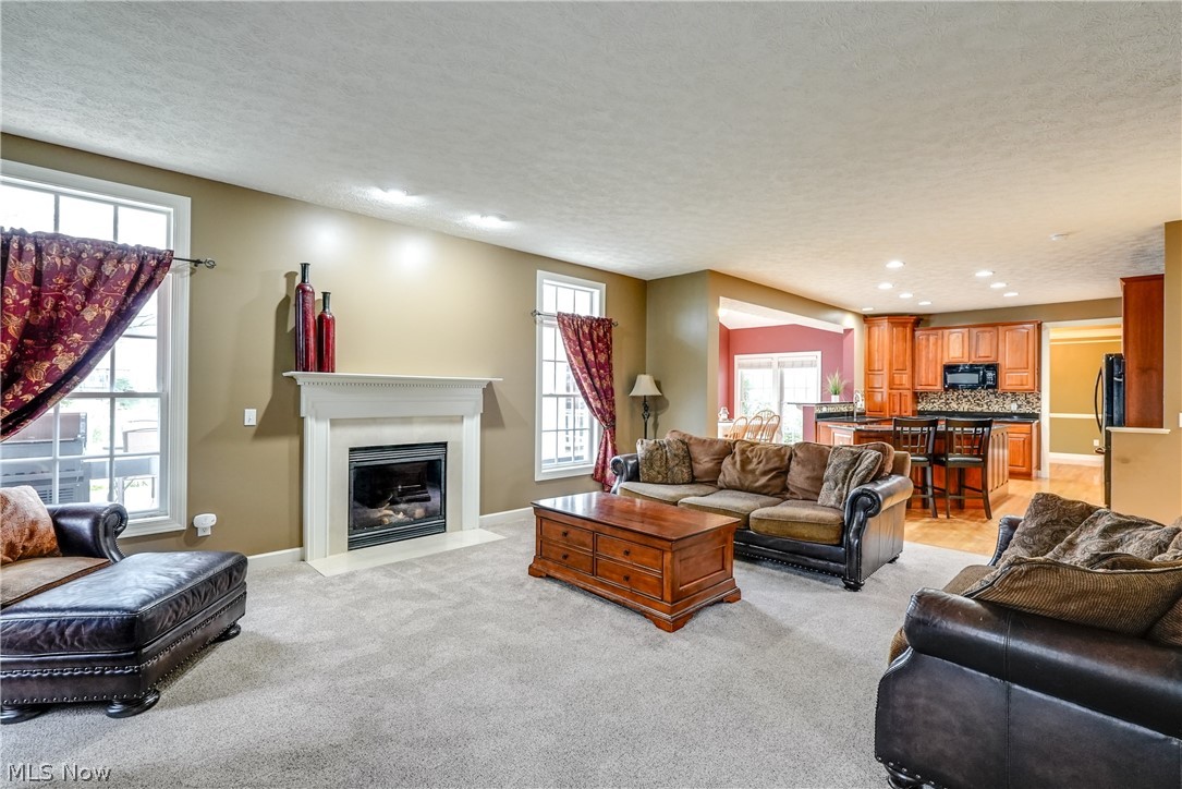 4561 Ridgestone Way Medina, OH 44256 - Photo 50 of 50 Great room featuring light colored carpet and a textured ceiling. Open floor plan with easy access to the kitchen and morning room.