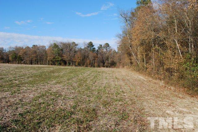 1077 Concord School Road Clinton, NC 28328 - Photo 3 of 6 Gallery Image 3