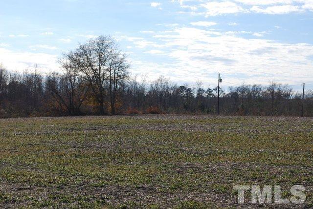 1077 Concord School Road Clinton, NC 28328 - Photo 5 of 6 Gallery Image 5