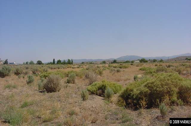 1051 Sawmill Road, Unit C Gardnerville, NV 89410 - Photo 1 of 1 Photo 1