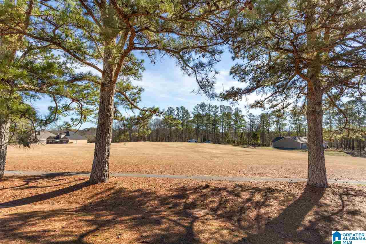 131 Choccolocco Road, Unit 1 & 1A Anniston, AL 36207 - Photo 8 of 11