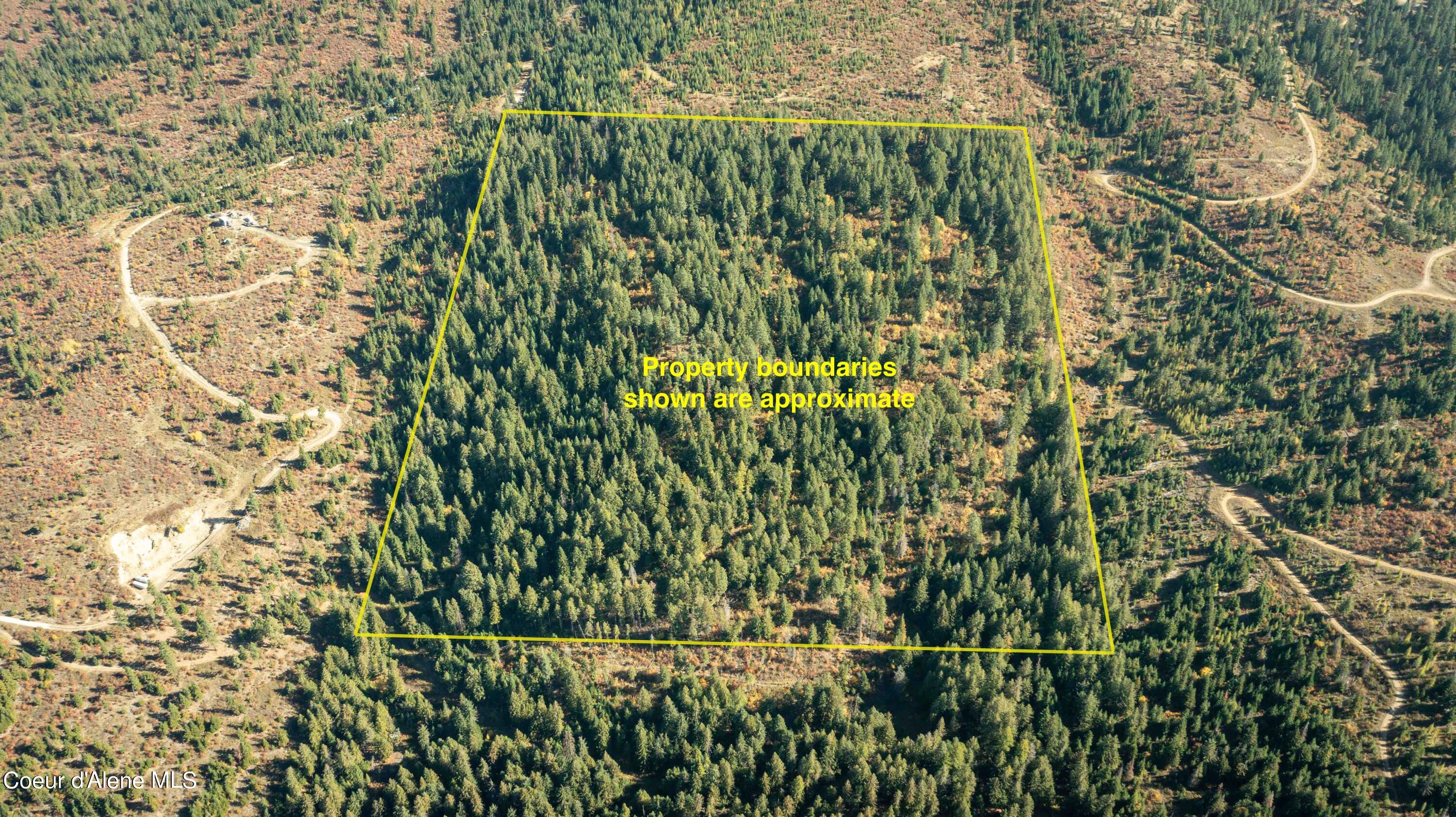 40 Acres Blake Creek Rd Street St. Maries, ID 83861 - Photo 1 of 1 Aerial