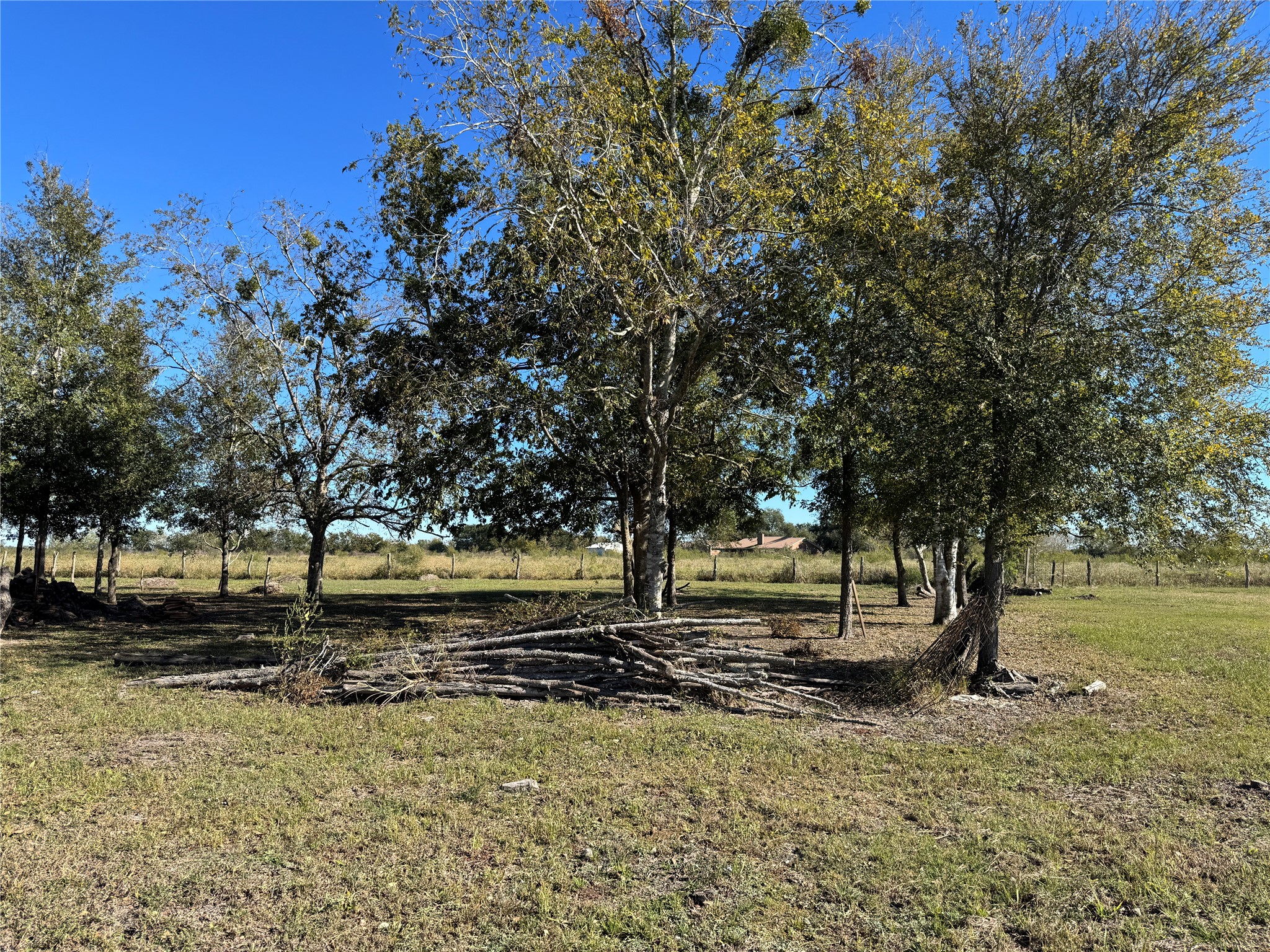 Lot 13 Mesquite Road Wallis, TX 77485 - Photo 2 of 16