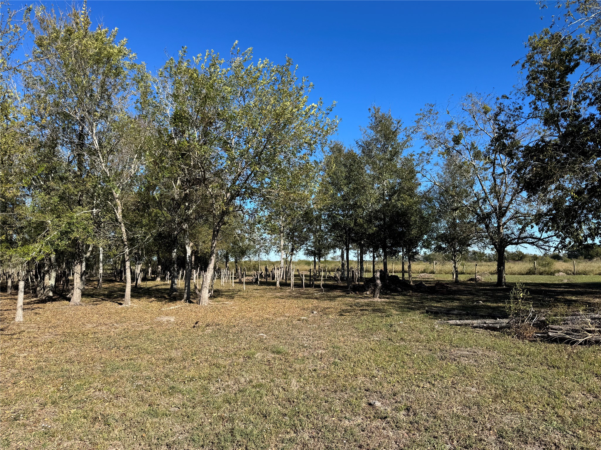 Lot 13 Mesquite Road Wallis, TX 77485 - Photo 3 of 16