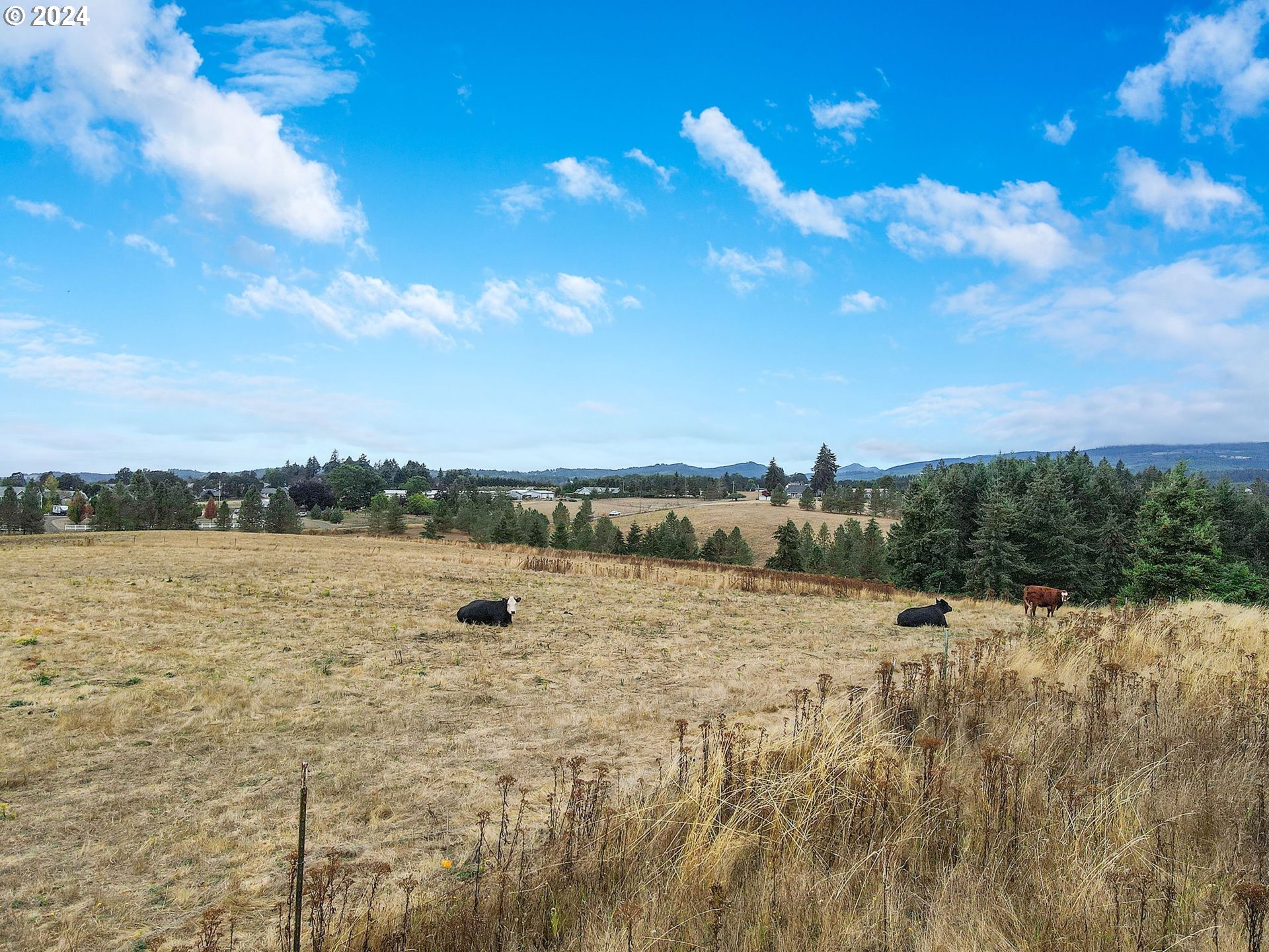 Webb Lane Dallas, OR 97338 - Photo 7 of 26 Gallery Image 7