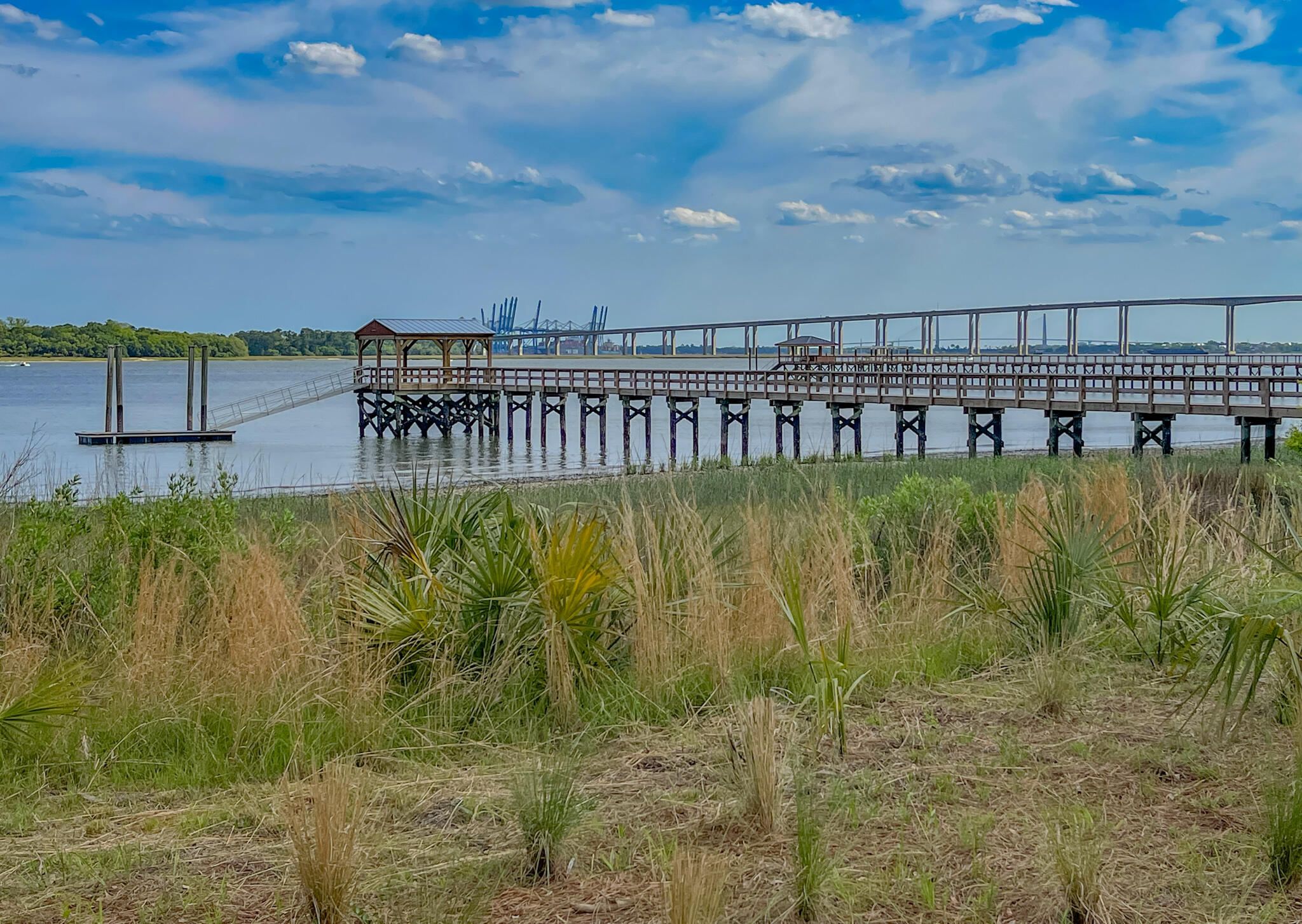 229 Captain Goddard Road Charleston, SC 29492 - Photo 1 of 64 Community Dock