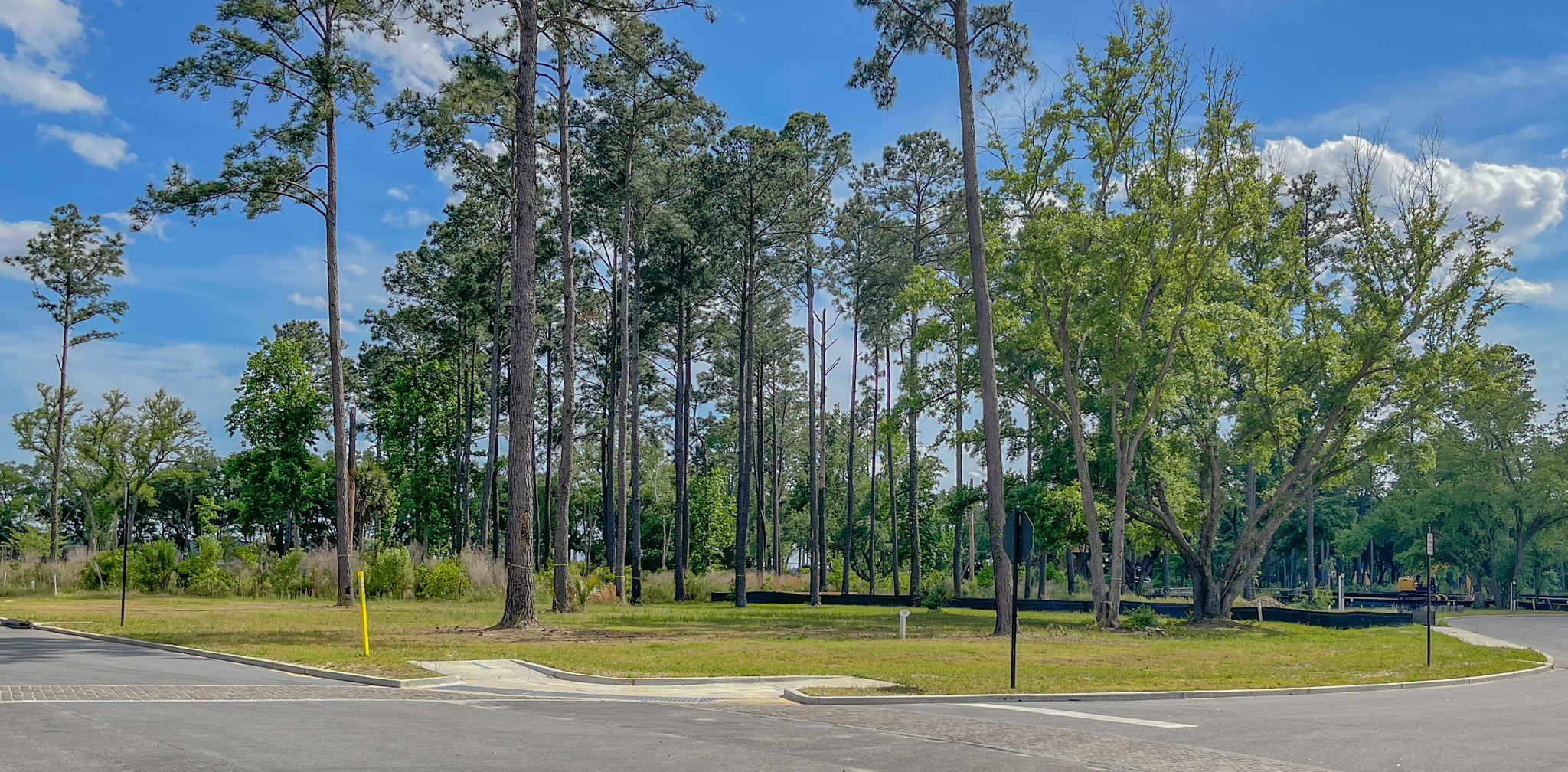 229 Captain Goddard Road Charleston, SC 29492 - Photo 3 of 64 Corner Homesite