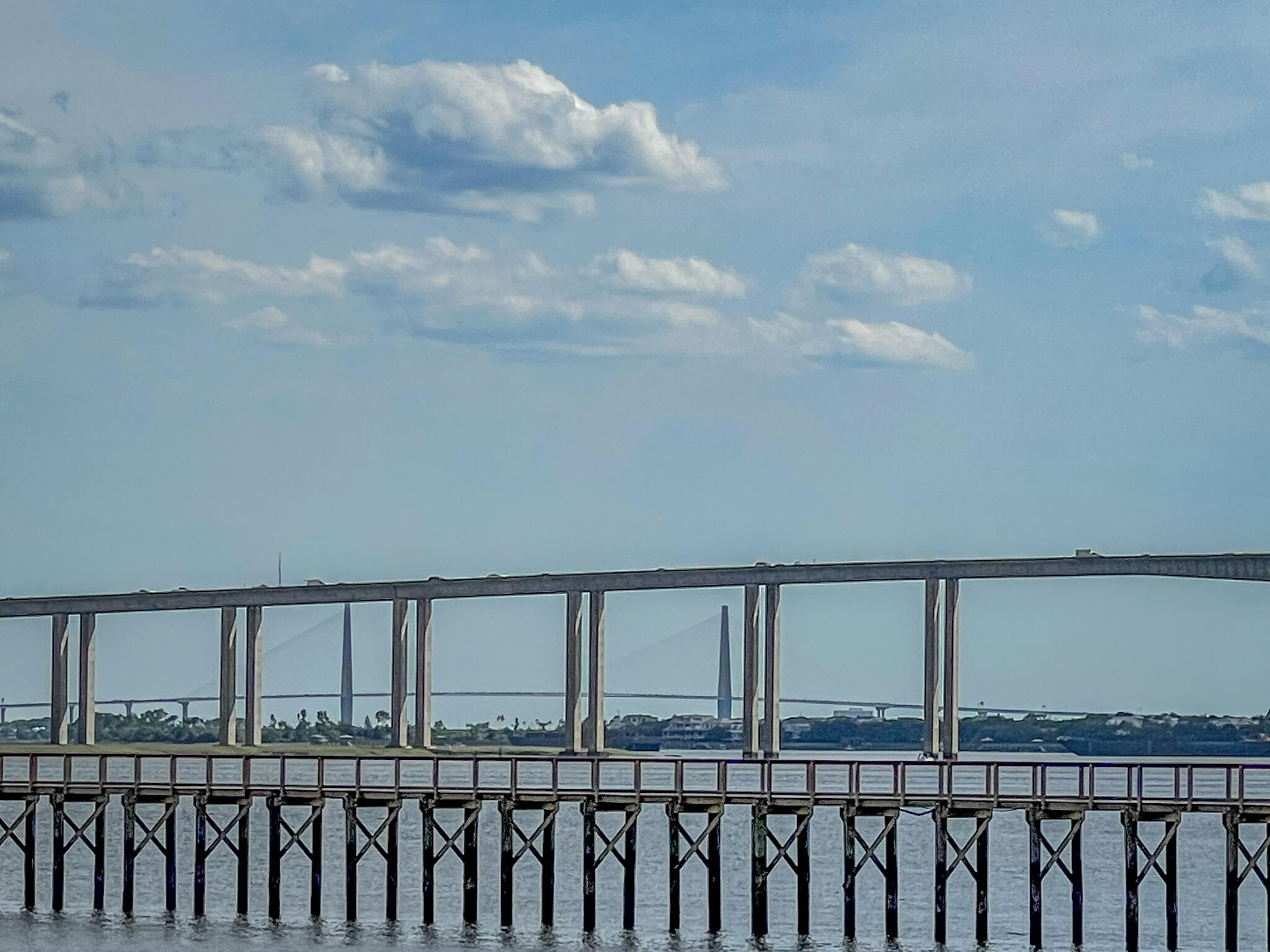229 Captain Goddard Road Charleston, SC 29492 - Photo 21 of 64 Ravenal Bridge Views