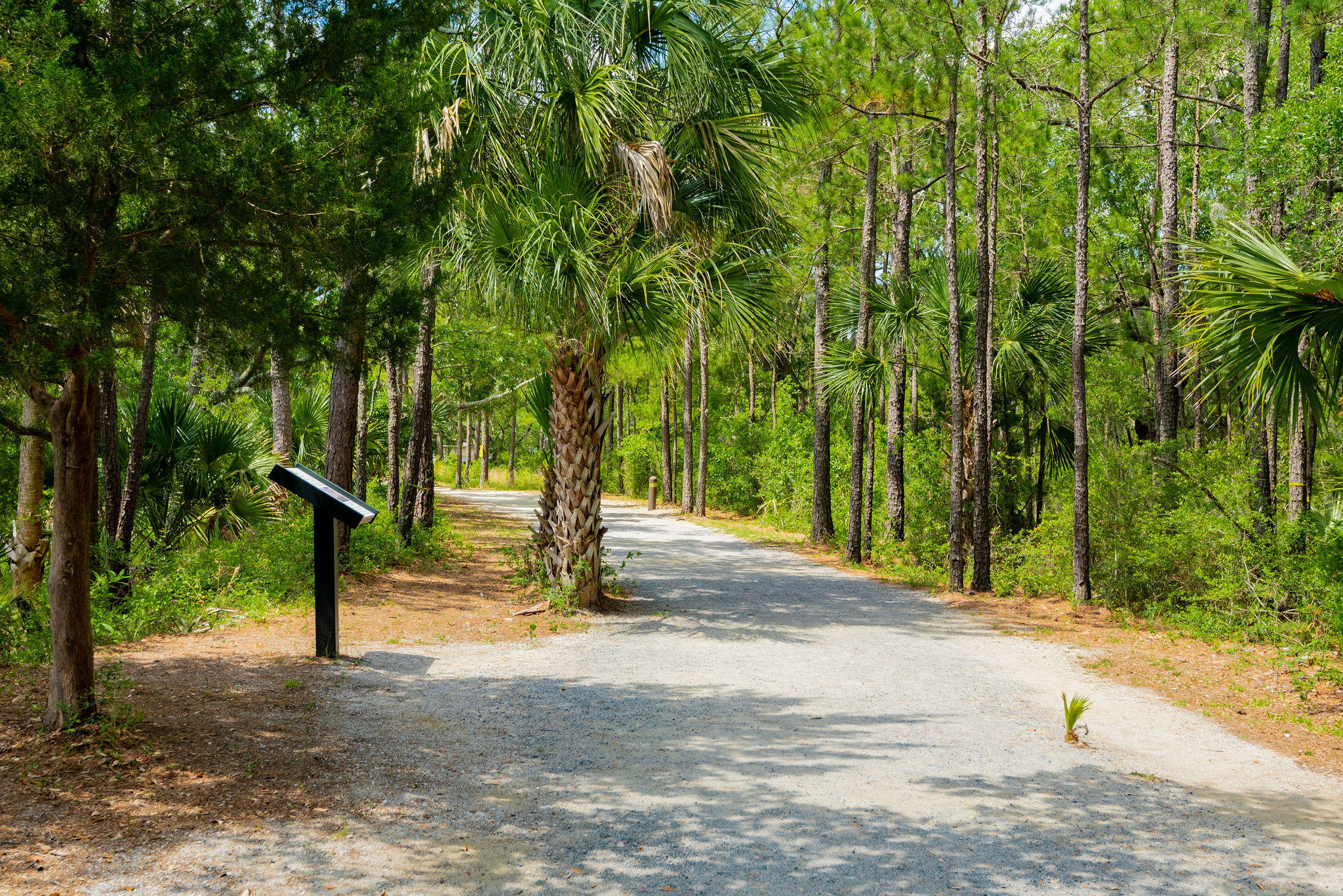 229 Captain Goddard Road Charleston, SC 29492 - Photo 42 of 64 The Daniel Island Lifestyle!!!