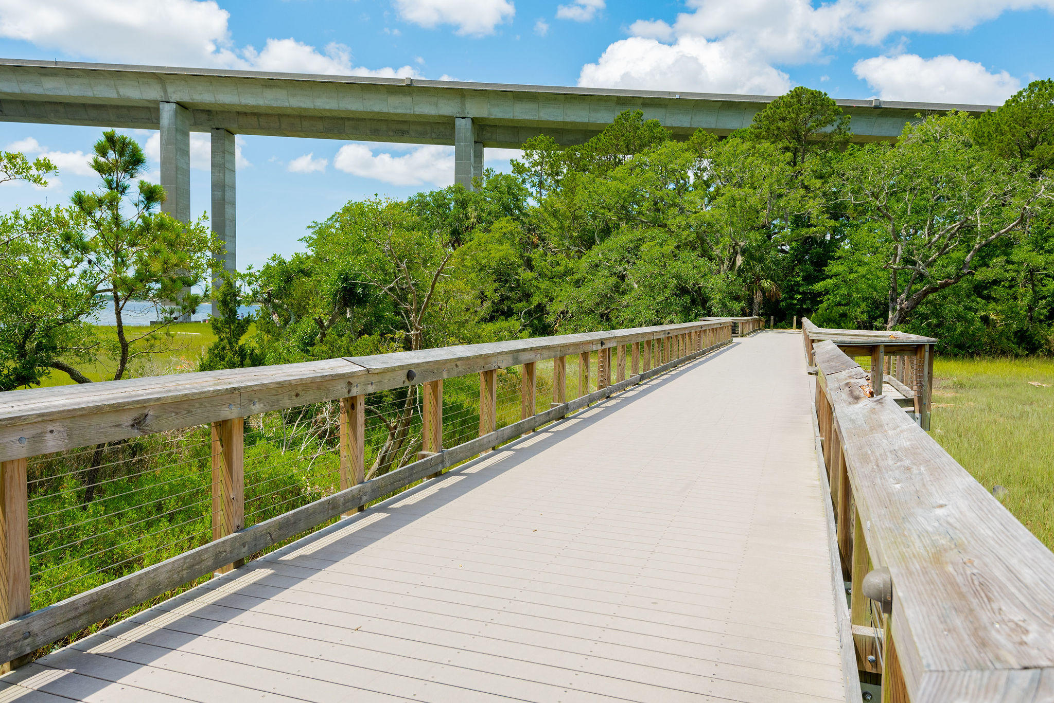 229 Captain Goddard Road Charleston, SC 29492 - Photo 43 of 64 The Daniel Island Lifestyle!!!