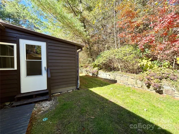 a view of backyard with large tree